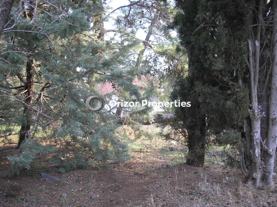 (For Sale) Land Plot || Thessaloniki Suburbs/Oraiokastro - 2.062 Sq.m, 700.000€ 